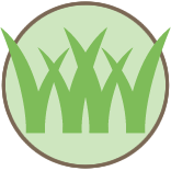 Rockford Lawn Mowing