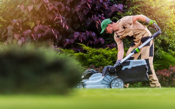 Yard Care Service in Rockford