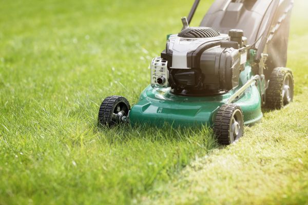 Yard Cutting in Rockford