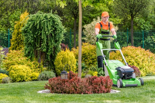 Yard Service in Rockford