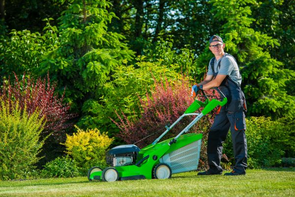 Yard Work Service in Rockford