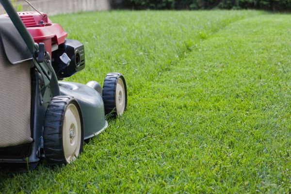 Residential Lawn Care in Rockford