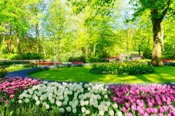 Cost of Spring Lawn Care in Rockford