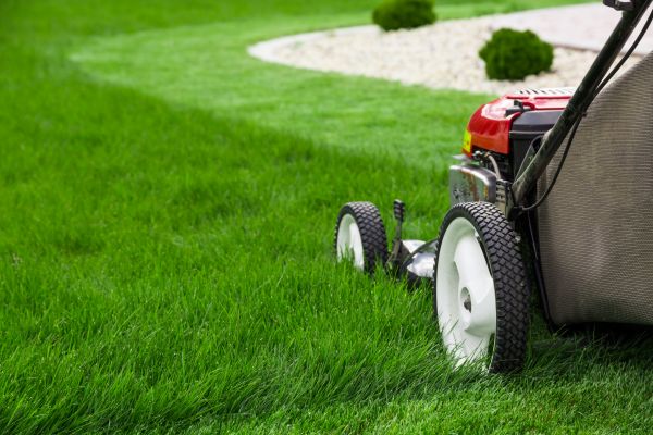 Lawn Service in Rockford