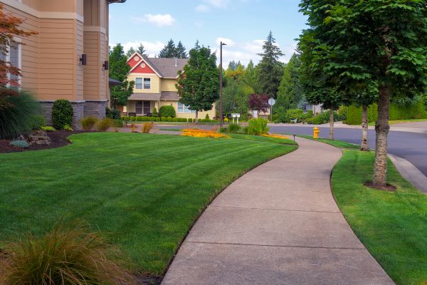 Home Lawn Maintenance in Rockford