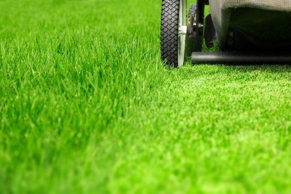 Weekly Lawn Care in Rockford