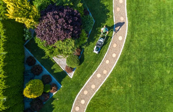 Mowing And Landscaping in Rockford