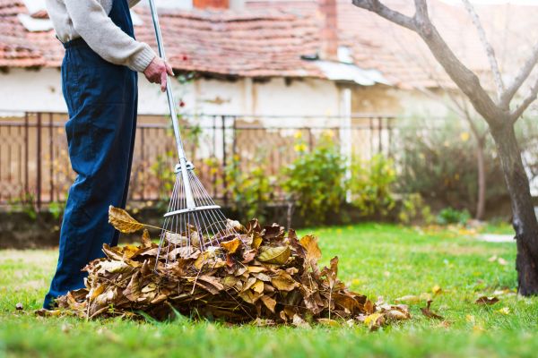 Cost of Routine Lawn Maintenance in Rockford