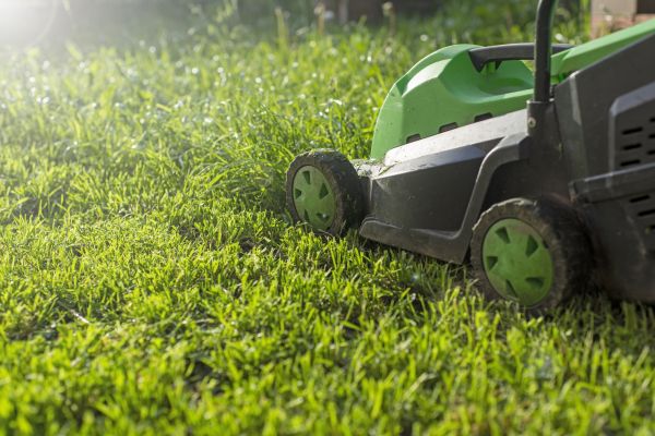 Yard Trimming in Rockford