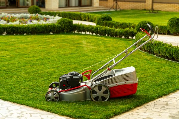 Cost of Business Grass Cutting in Rockford