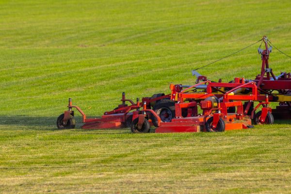 Cost of Industrial Lawn Service in Rockford