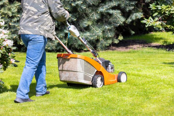 Cost of Springtime Lawn Care in Rockford