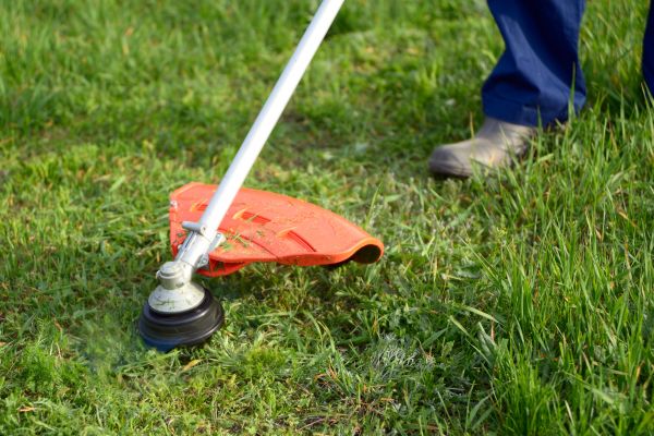Cost of Lawn Weed Whacking in Rockford