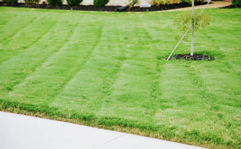 Corporate Lawn Maintenance