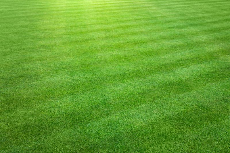 Consistent Lawn Appearance